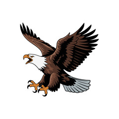 “Flying Bald Eagle Attack Pose Vector Illustration – Wild Bird Mascot, Detailed Wings, Predatory Wildlife Art”