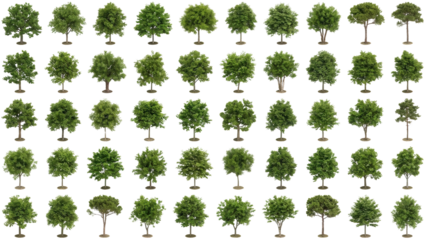 Diverse collection of green trees, bringing nature to architectural renderings and landscape designs with summer foliage for parks and forests, all sizes