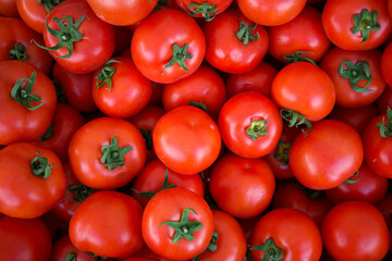 A top shot of a pile of tomatoes sold in a Turkish market.