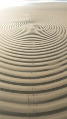 Concentric Raked Sand Pattern in Zen Garden