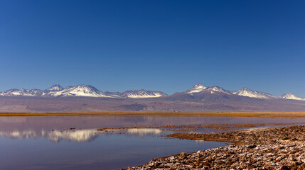 Tebinquiche Lagoon in the Atacama Desert, Chile