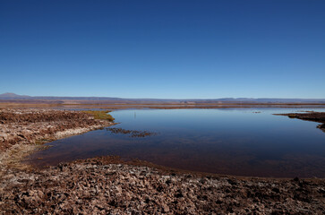 Tebinquiche Lagoon in the Atacama Desert, Chile