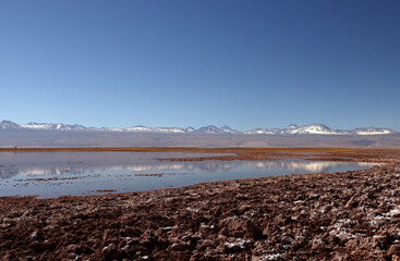 Tebinquiche Lagoon in the Atacama Desert, Chile