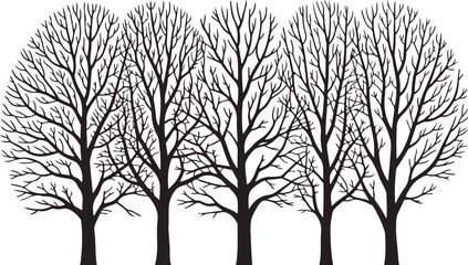 Obraz premium A bare black vector silhouette of a single winter oak tree with dead branches against the cold sky landscape