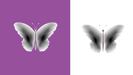 Black & White Misty Butterfly