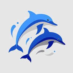 Two blue dolphins leaping through water splashes © rayhanbd.net