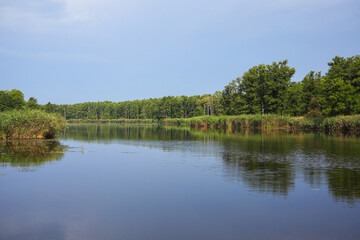 Fototapeta premium View of the Peene River in the Peene Valley River Landscape Nature Park, a nature reserve in the Mecklenburg Lake District, Germany