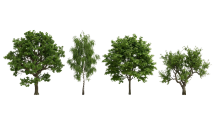 Vibrant collection of diverse trees for landscape design, perfect for architectural visualization and adding natural beauty to artistic compositions