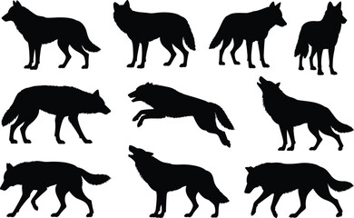 Wild wolf silhouettes in various poses including howling, walking, standing, leaping — black animal vector set on white background
