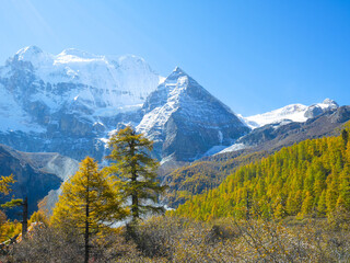Snow covered peaks and autumn leaves