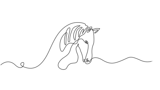 Self drawing animation of continuous line elegant horse head for company logo identity. Animated one line illustration, Animated One continuous line drawing of a horse face. Minimal pet animals line.