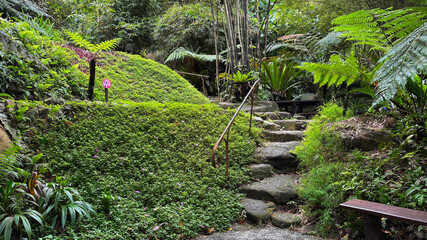 Tranquil image of a tropical garden, deep within the Tropical Spice Garden rainforest sanctuary in Penang, Malaysia.