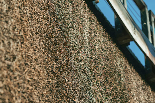 Brine Graduation Tower Wall with Wooden Railing in Sunlight