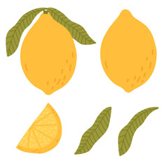 set fresh lemon, whole with leaves and sliced, isolated on white background. perfect for food packaging, recipe books, restaurant menus, healthy lifestyle content and decorative design projects