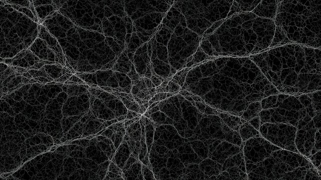 Fine Mycelium Network Line Art on Black and White