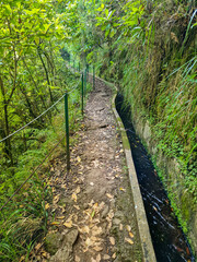 Fototapeta premium A forest trail along a Levada in the mountains on the island of Madeira