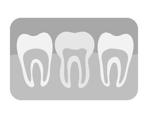 X-ray of teeth illustration flat. Gums and roots of teeth element for brochure, dentistry, dental care..