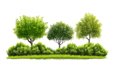 Lush green trees and bushes arranged in a natural landscape against a transparent background