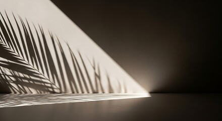 Tropical palm leaf shadow on a light wall and reflective surface, illuminated by a strong diagonal beam