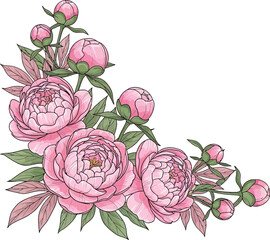Delicate pink peonies bloom gracefully in a decorative floral corner arrangement