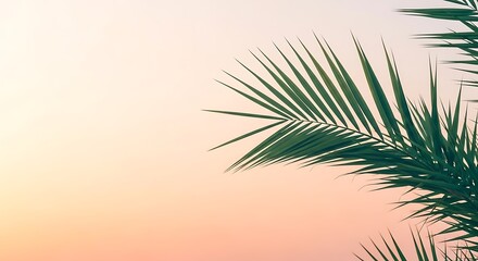 Vibrant green palm frond captured in closeup detail, set against a beautifully soft pastel pink and orange gradient sky