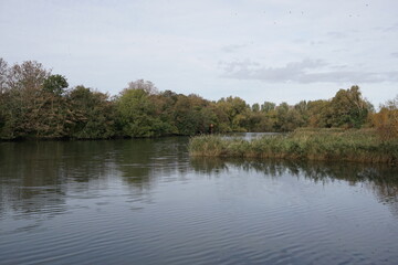 view over the River Itchen in Hampshire England. calm water view with surrounding trees