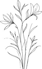 Minimal black line art floral illustration, continuous line stems, elegant petals, modern botanical aesthetic, clean outlines, white background, vector style, no shading