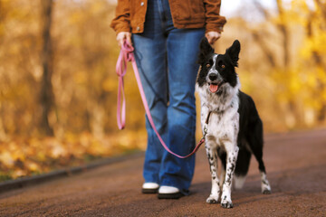 Woman walking her cute dog in autumn park, closeup. Space for text