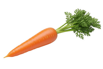 Fresh orange carrot with green leafy top isolated on transparent background