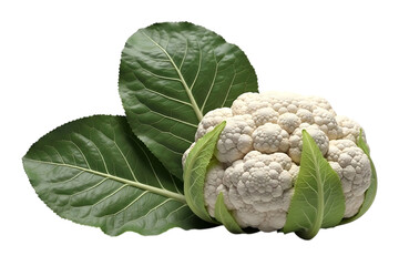 Fresh cauliflower head with leaves isolated on transparent background element