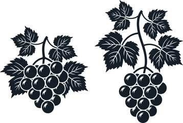 Grapes logo. Isolated grapes on white background