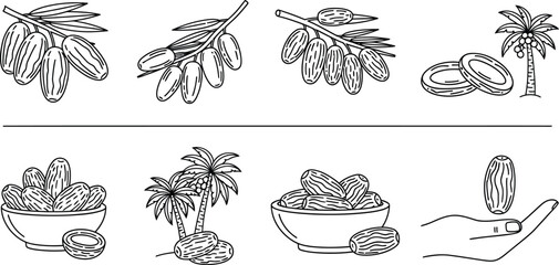 Jojoba plant and oil sketch set for cosmetic and healthcare use