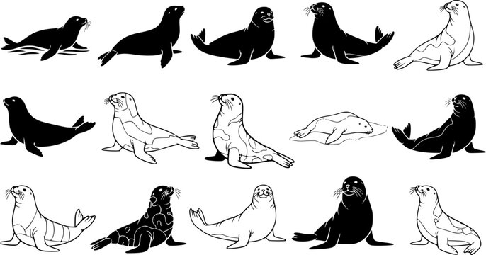 Collection of seal silhouettes and outlines in various artistic styles
