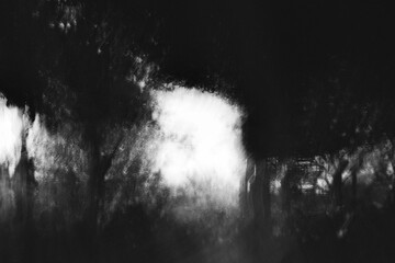 Abstract Black and White Motion Blur Forest Background with Light Glow, Moody Nature Texture for Artistic Concept, Mystery, Horror, Meditation and Cinematic Design