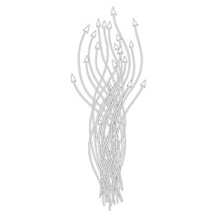 Fototapeta premium Set of a vector arrows , illustrator 
