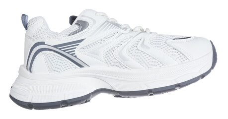 One sneaker isolated on white. Stylish shoe