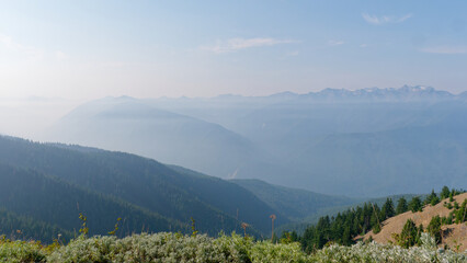 Scenic view of a deep forested valley and hazy mountains in Hurricane Ridge,  Olympic National Park, Washington, USA