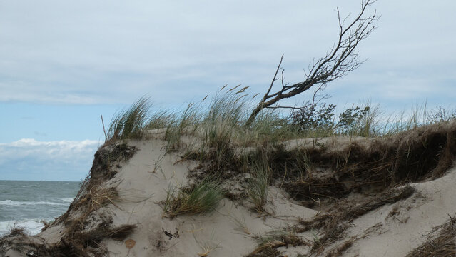 D&uuml;ne an der Ostsee