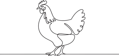 Continuous line art or One Line drawing of chicken for vector illustration, business farming. chicken pose concept. one line Icon drawing