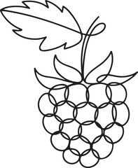 Single continuous line drawing whole healthy organic raspberry for orchard logo identity. Fresh berry fruitage concept for fruit garden icon. one line Icon drawing © firoz