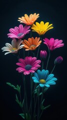 Bouquet of colorful daisies on black background, mobile wallpaper design with vibrant floral arrangement and decorative pattern.