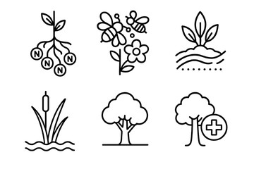 Ecological Roles Icons. Line style icons of ecological roles in ethnobotany: nitrogen-fixing root, pollinator flower,