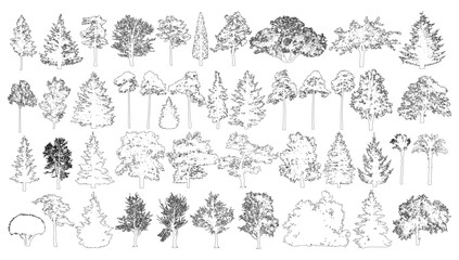 Fototapeta premium Coniferous and deciduous trees set, contours. Vector illustration