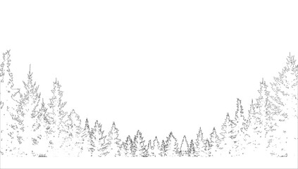 Contour of forest , coniferous spruce trees.  Vector illustration