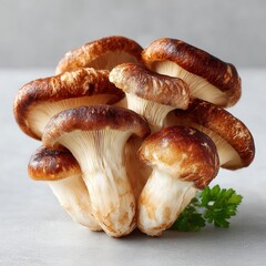 Fresh Shiitake Mushrooms with Parsley on Light Grey Background
