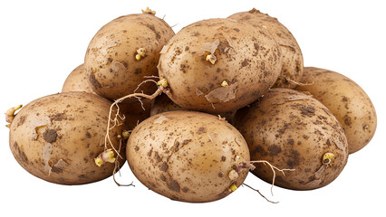 Pile of natural organic raw potatoes with visible soil particles and small sprouts, freshly harvested and ultra-realistic, clearly isolated on transparent background