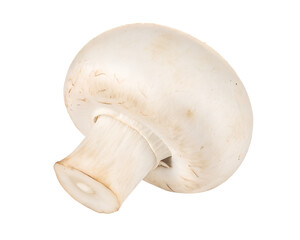 Fototapeta premium Mushroom champignon isolated on transparent png