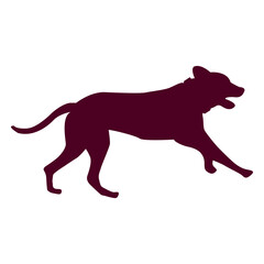 Dog running sequence 4