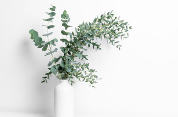 Eucalyptus branches arranged in a minimalist white vase, showcasing vibrant green foliage against a clean, bright background, enhancing modern interior decor aesthetics