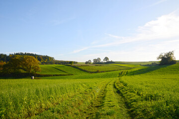 Feldlandschaft, Herbst
